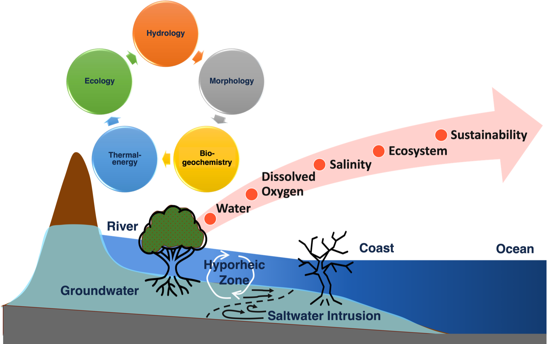 Conceptual diagram of the FLUX Lab's research: water, sediment, heat, and solutes moving across surface water and subsurface — from rivers and the hyporheic zone to coasts, groundwater, saltwater intrusion, and the critical zone — linking hydrology, morphology, biogeochemistry, thermal energy, and ecology from water and dissolved oxygen to salinity, ecosystem function, and sustainability.